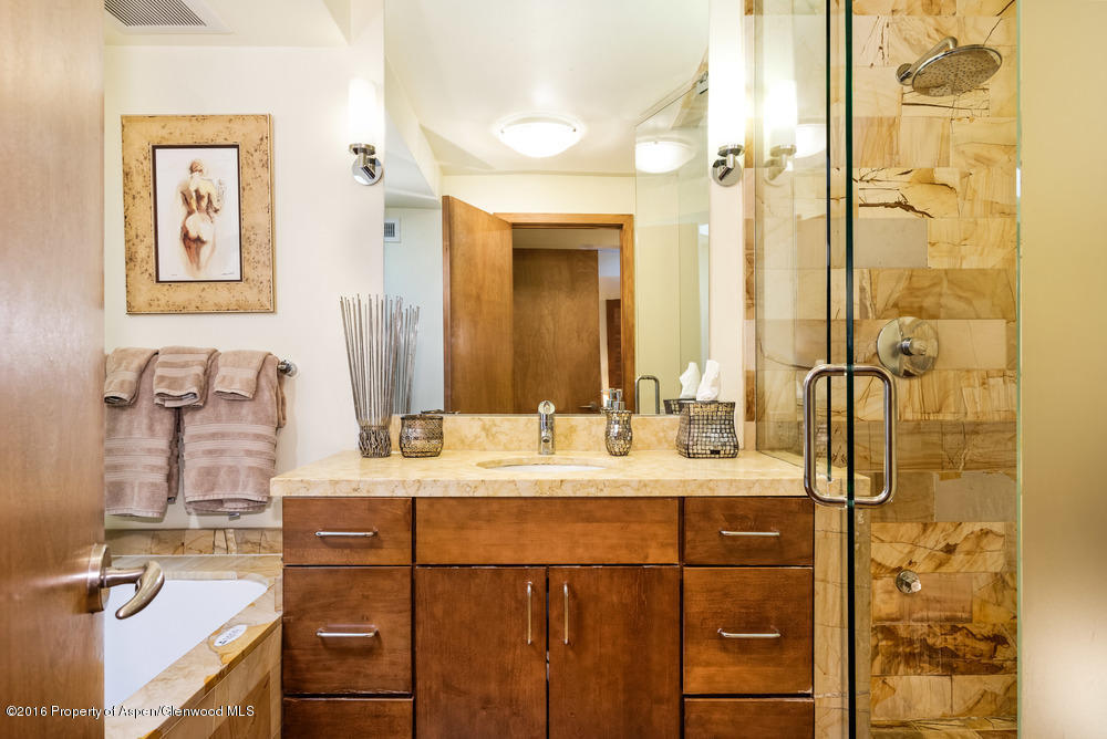 1001 E Cooper Avenue, Aspen, CO 81611