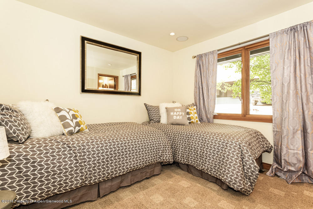 1001 E Cooper Avenue, Aspen, CO 81611