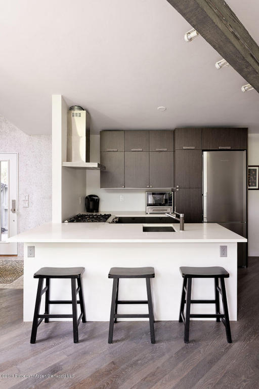 630 W Hallam, Aspen, CO 81611