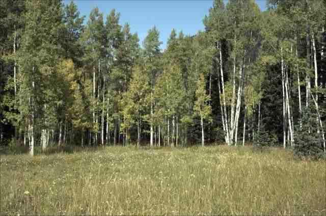 TbdConundrum Creek Road, Aspen, CO 81611