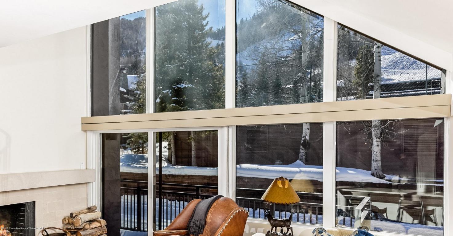 700 S Monarch Street, Aspen, CO 81611