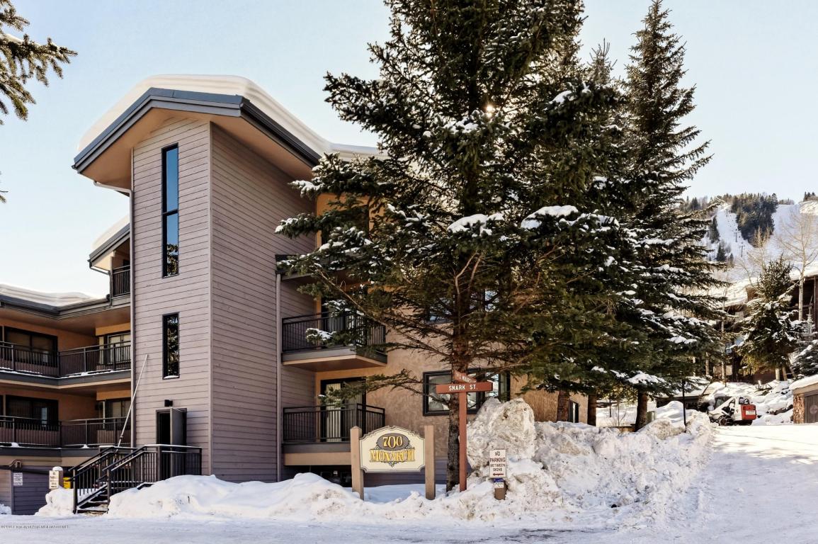 700 S Monarch Street, Aspen, CO 81611