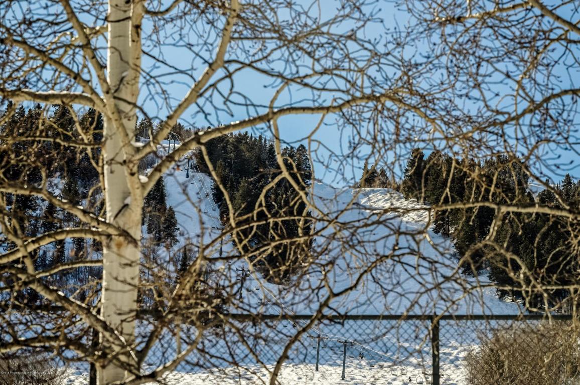 700 S Monarch Street, Aspen, CO 81611
