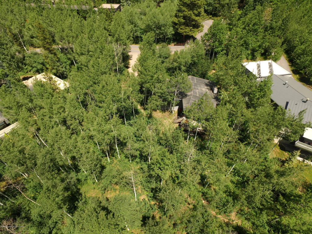 334Mcskimming Rd, Aspen, CO 81611