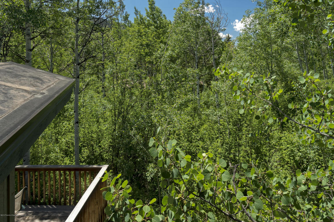 334Mcskimming Rd, Aspen, CO 81611