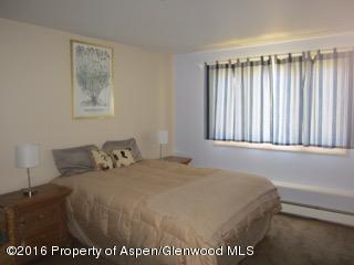 473Mountain Laurel Drive, Aspen, CO 81611