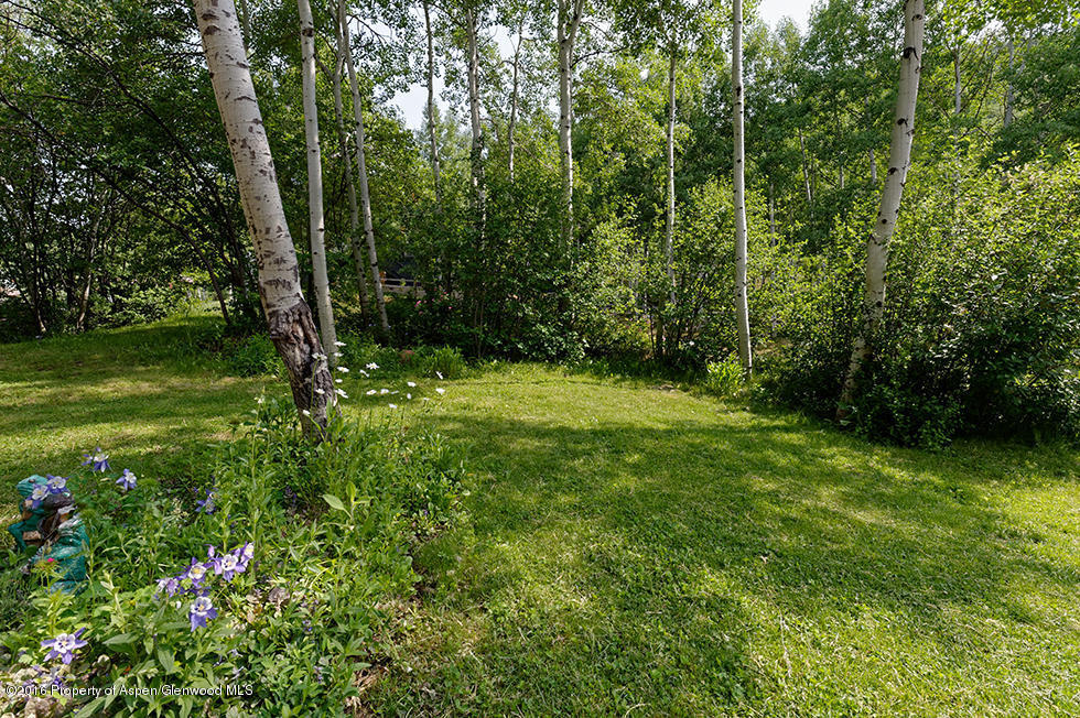 473Mountain Laurel Drive, Aspen, CO 81611