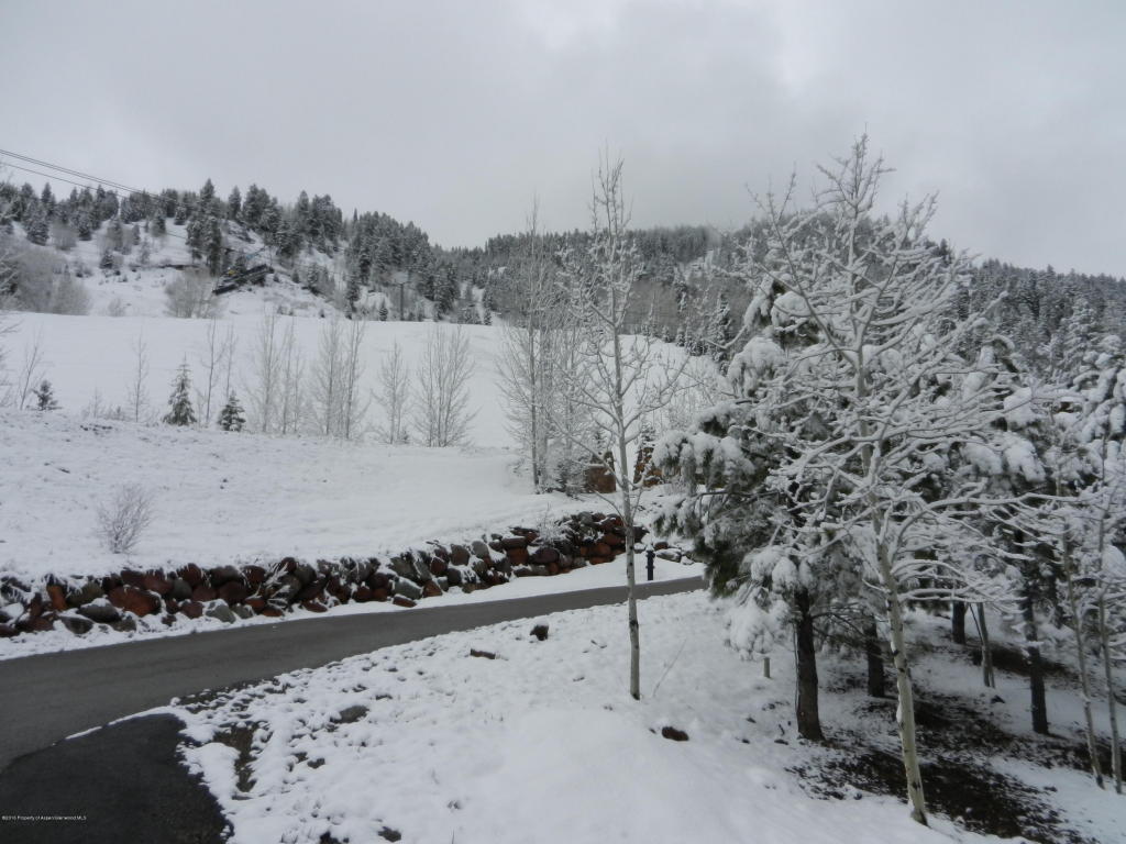 TbdExhibition Lane, Aspen, CO 81611