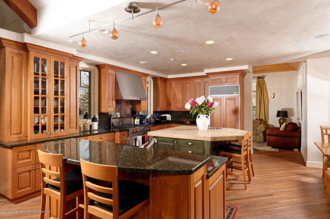 101Dale Avenue, Aspen, CO 81611
