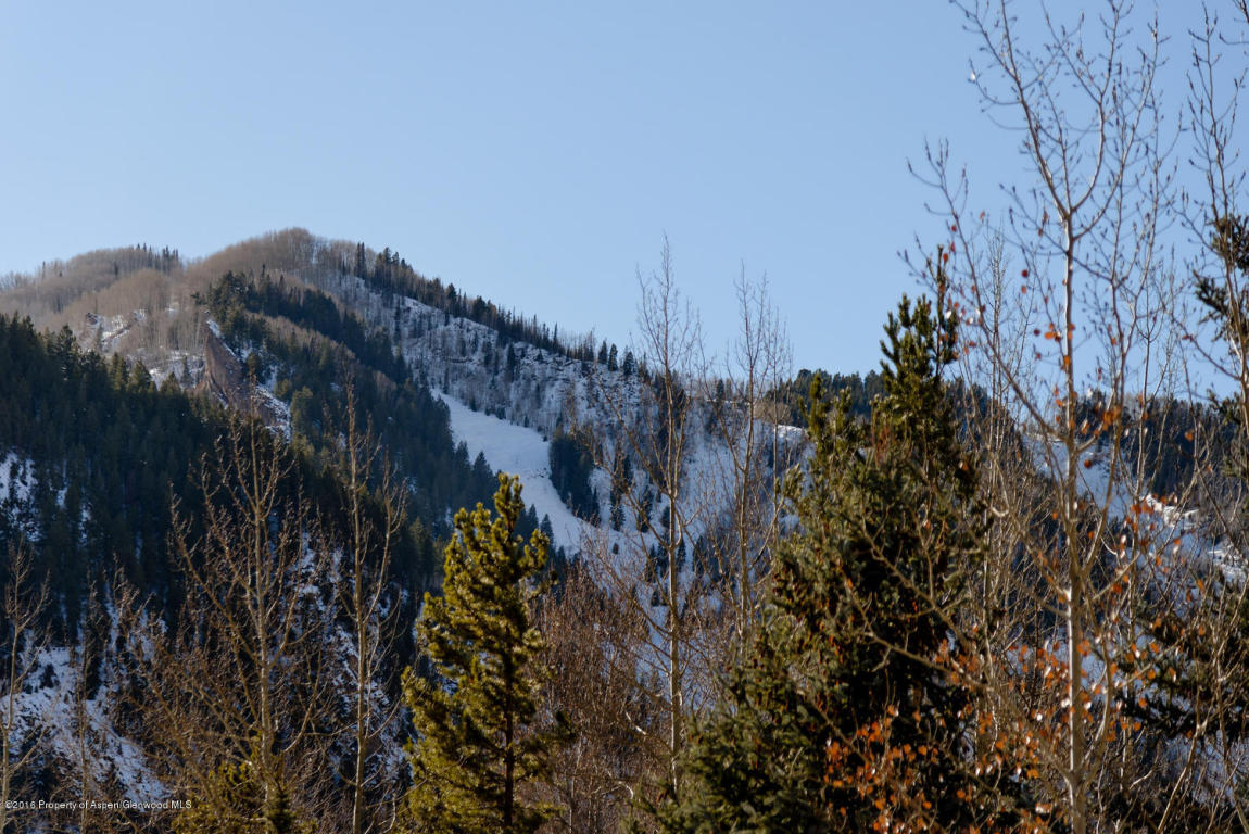 101Dale Avenue, Aspen, CO 81611