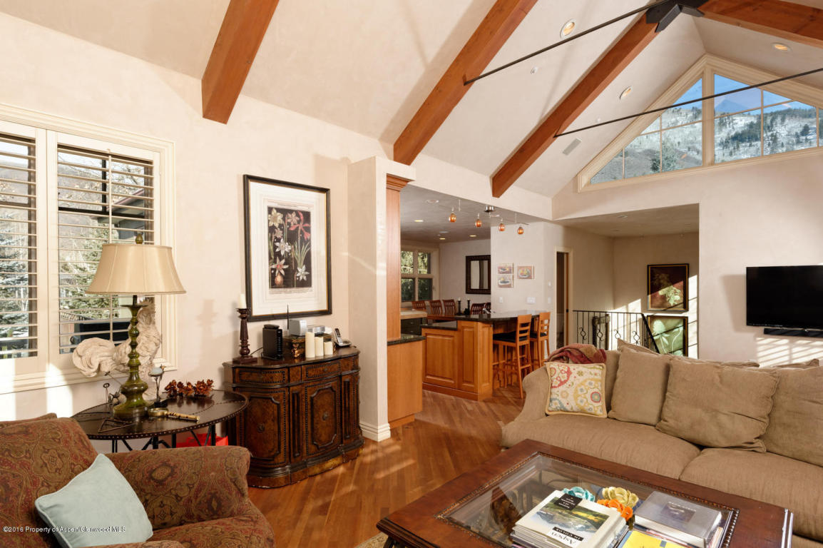 101Dale Avenue, Aspen, CO 81611