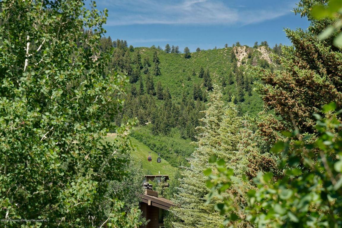 1112Waters Avenue, Aspen, CO 81611