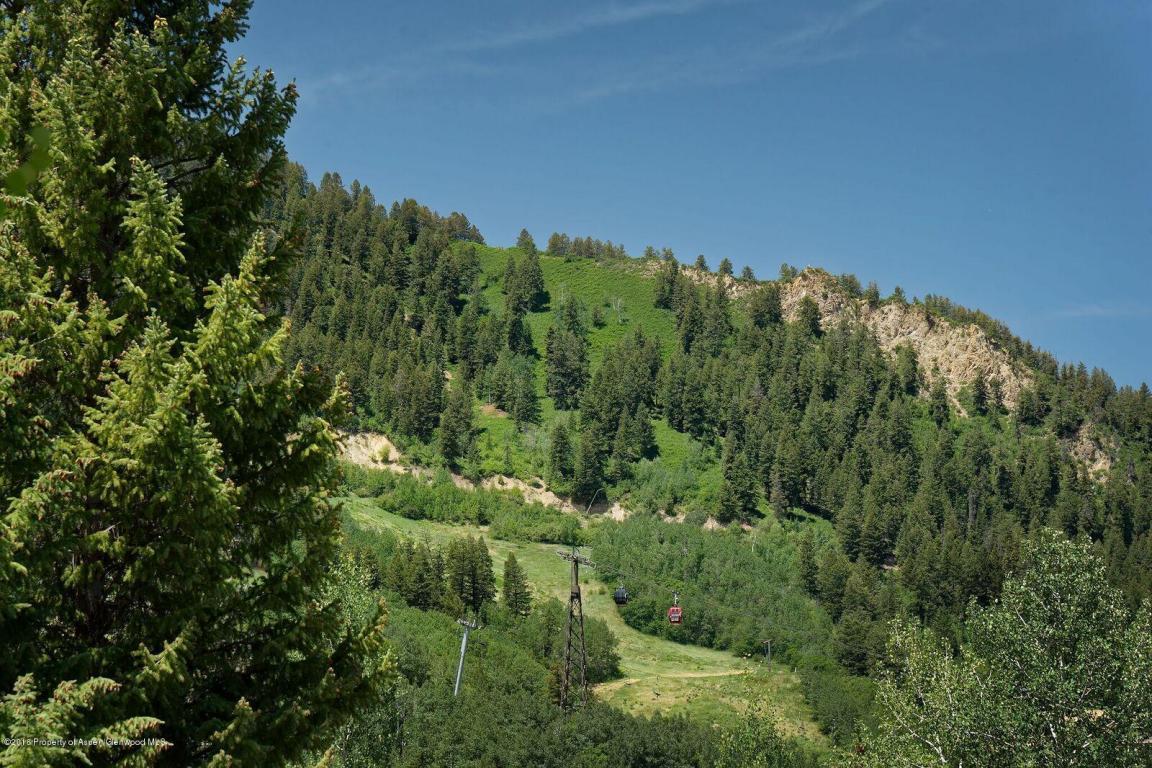 1112Waters Avenue, Aspen, CO 81611
