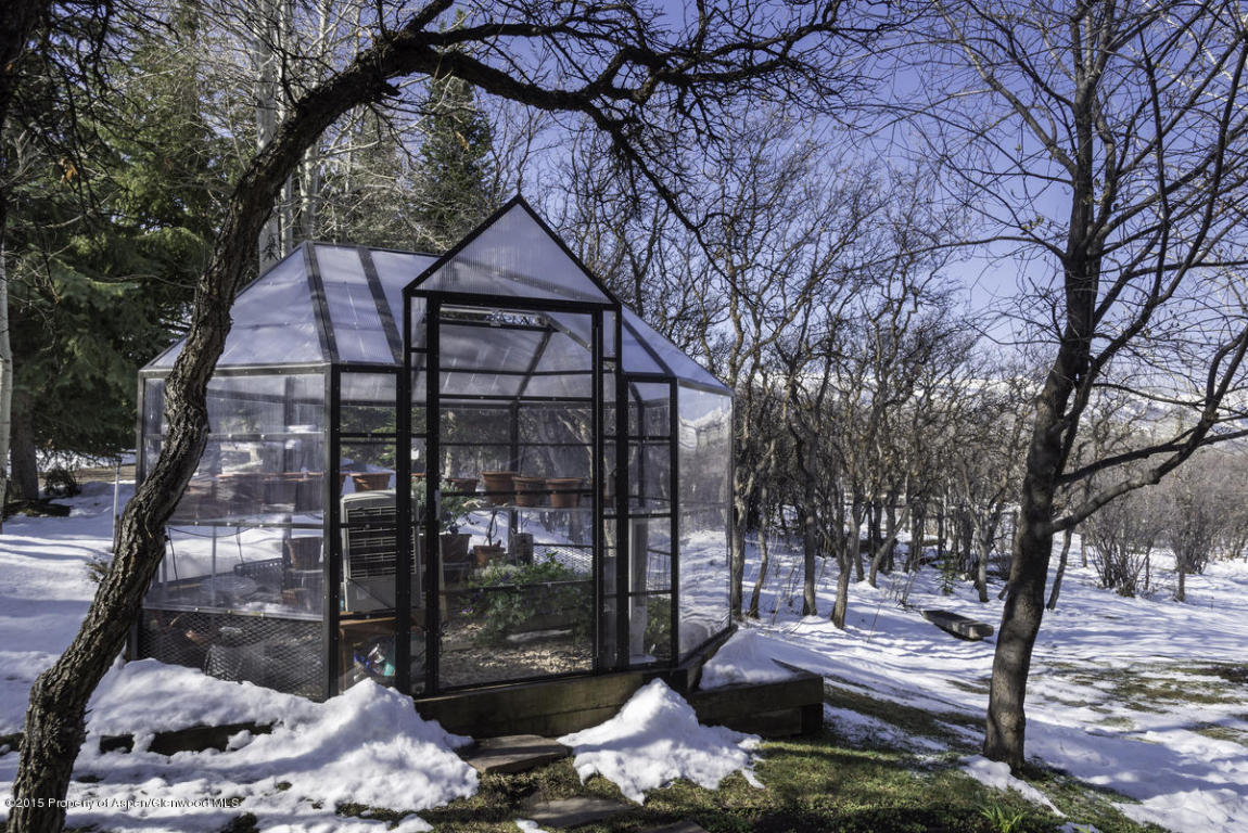 173Buchanan Drive, Aspen, CO 81611