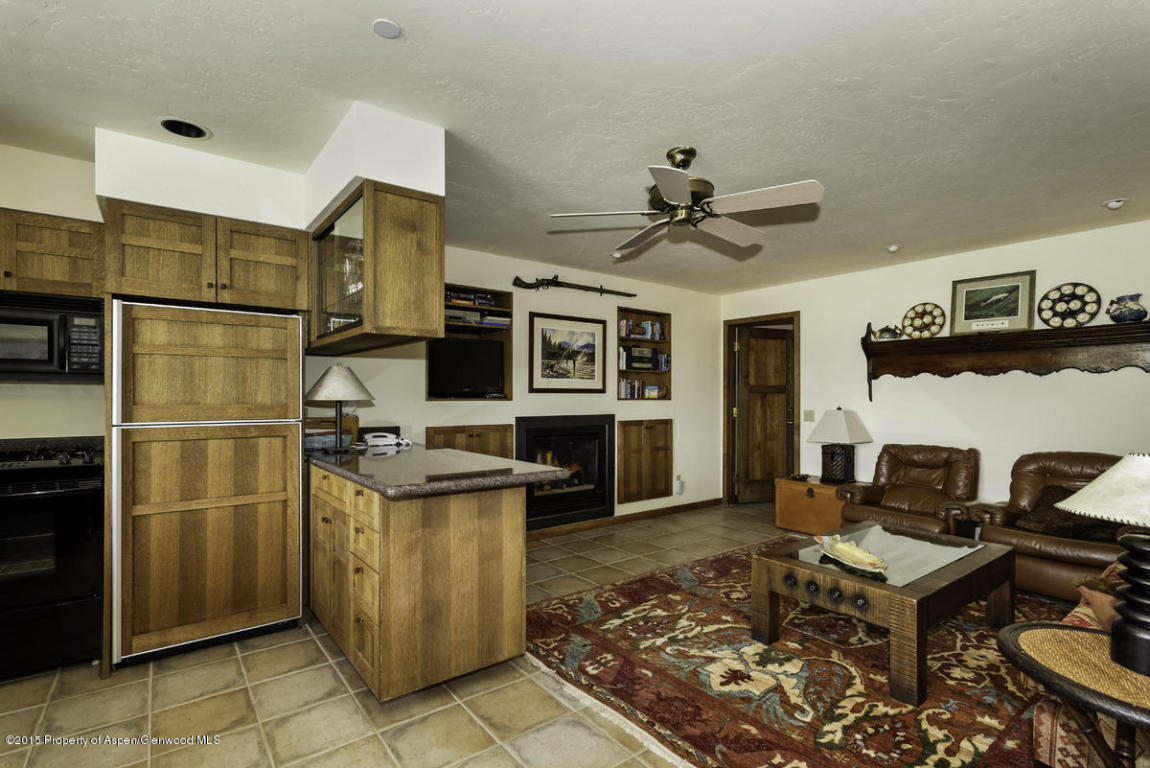 173Buchanan Drive, Aspen, CO 81611