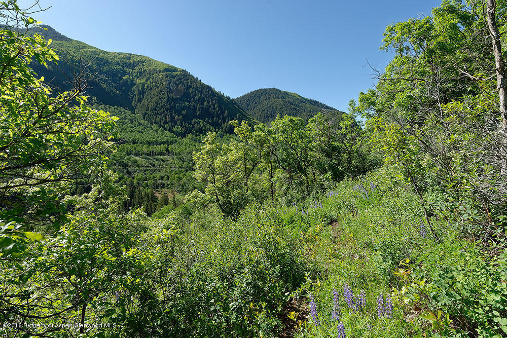 Tbd N Hayden Road, Aspen, CO 81611