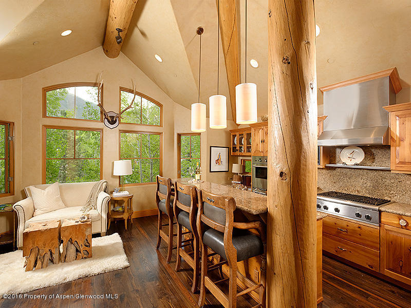 1011 E Hopkins Street, Aspen, CO 81611