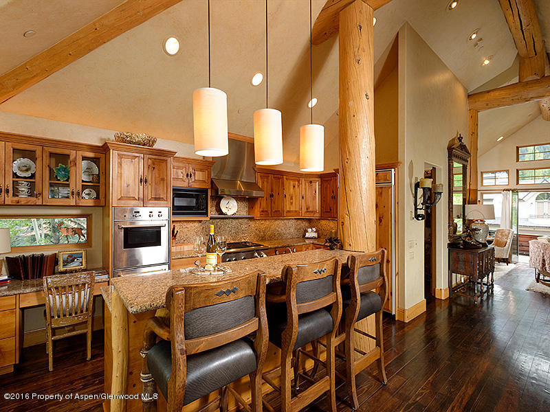 1011 E Hopkins Street, Aspen, CO 81611