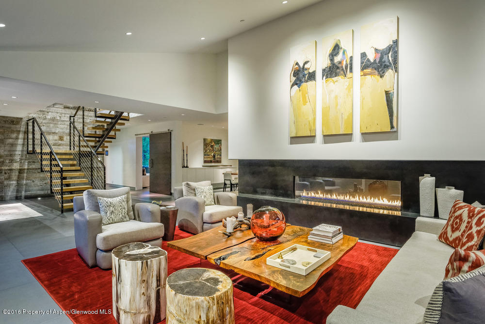 1180Black Birch, Aspen, CO 81611