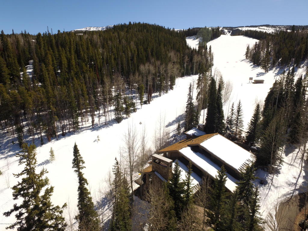 114Pine Ln, Snowmass Village, CO 81615