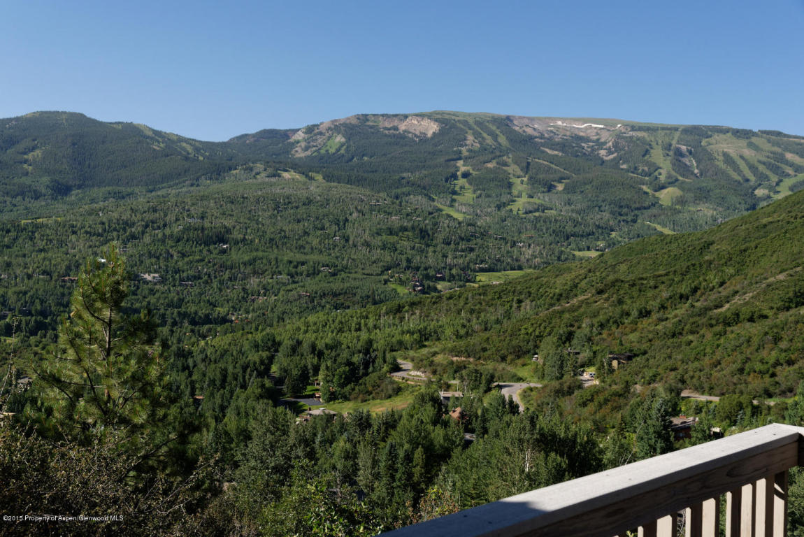 104Wild Ridge Ln, Snowmass Village, CO 81615