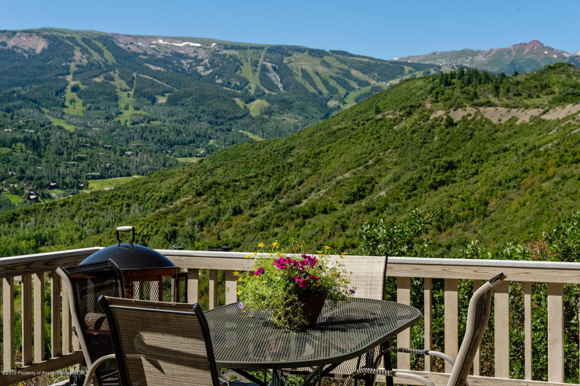 104Wild Ridge Ln, Snowmass Village, CO 81615