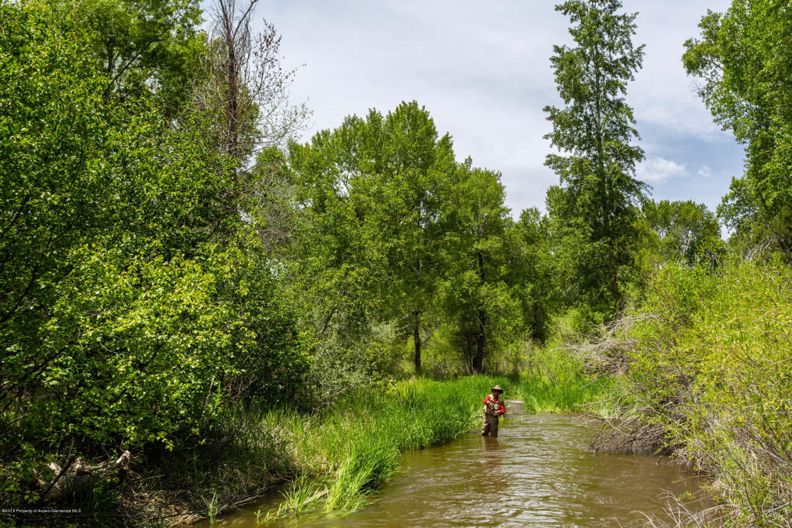 50River Oaks Lane, Basalt, CO 81621