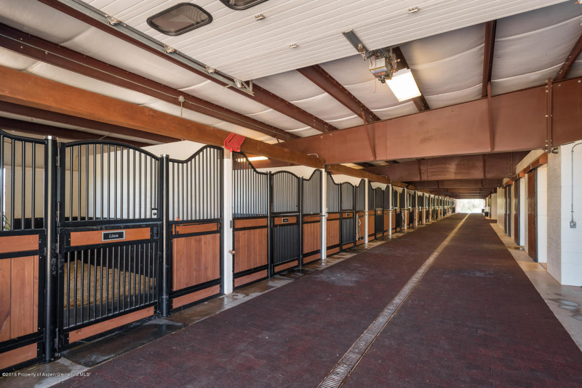403 E Fork Ln, Basalt, CO 81621