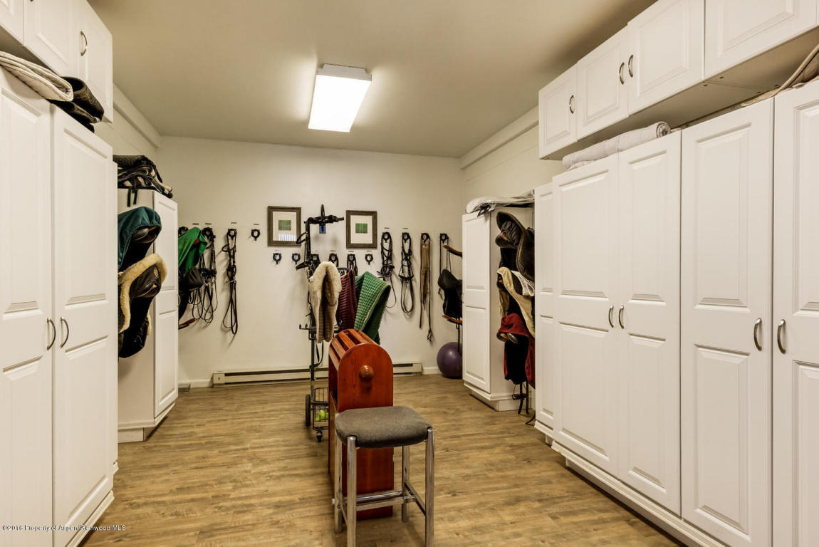 403 E Fork Ln, Basalt, CO 81621