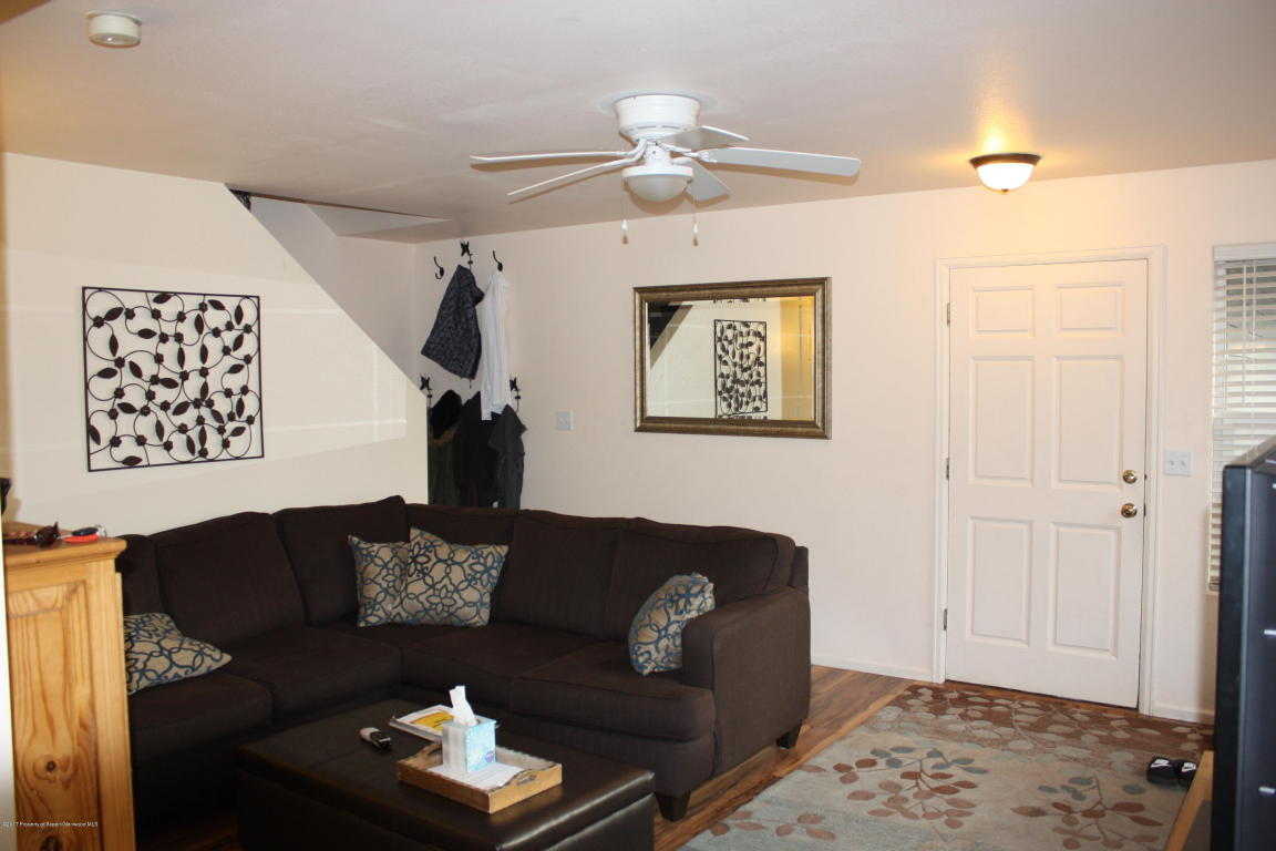 1033Wheel Drive, Carbondale, CO 81623