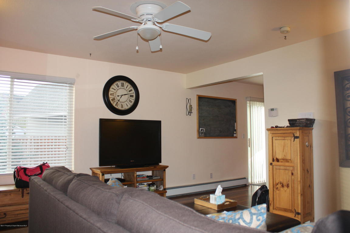 1033Wheel Drive, Carbondale, CO 81623