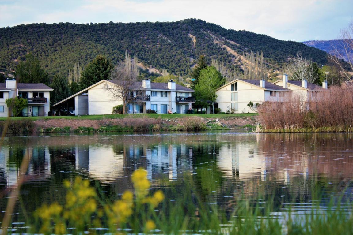014913HWY 82, Carbondale, CO 81623