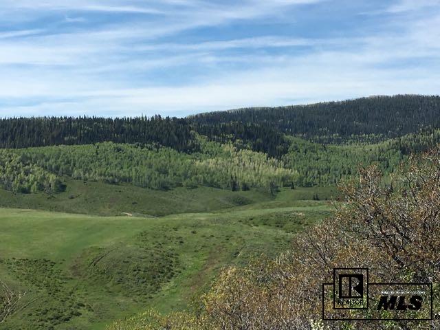 70962 County Road #8, Other, CO 81641