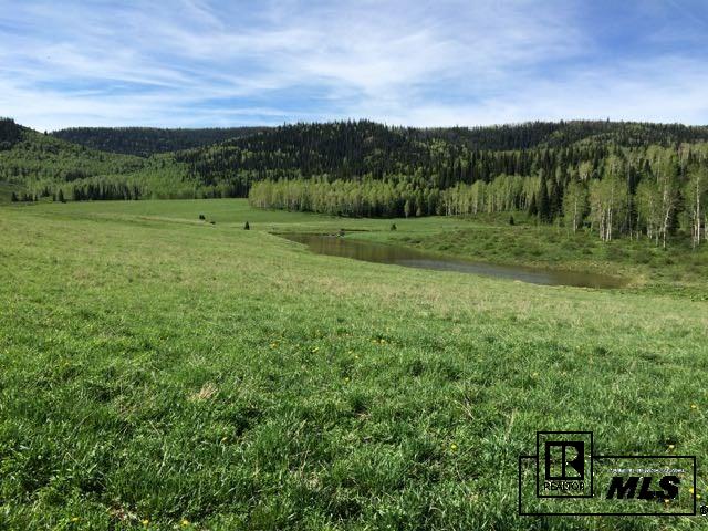 70962 County Road #8, Other, CO 81641