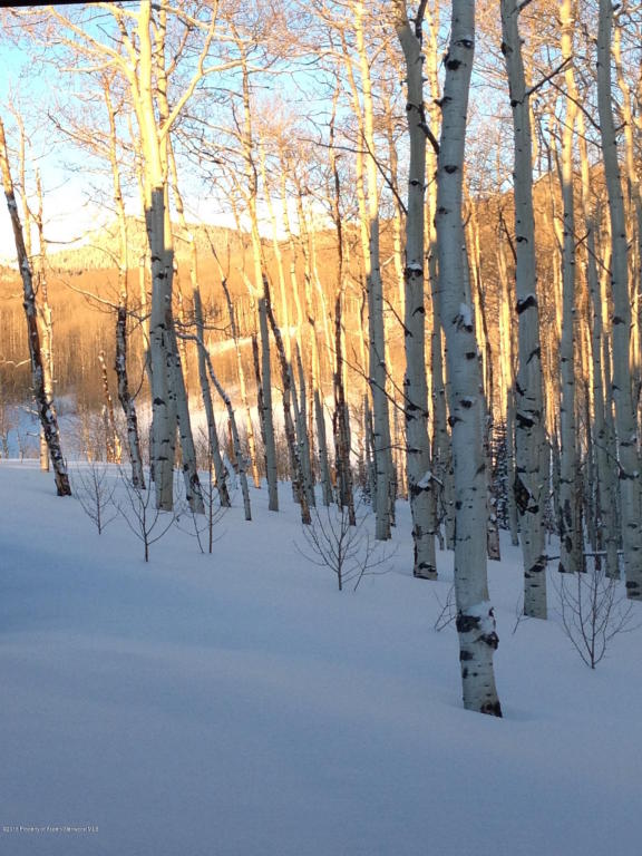 8201Capital Creek Road, Snowmass, CO 81654