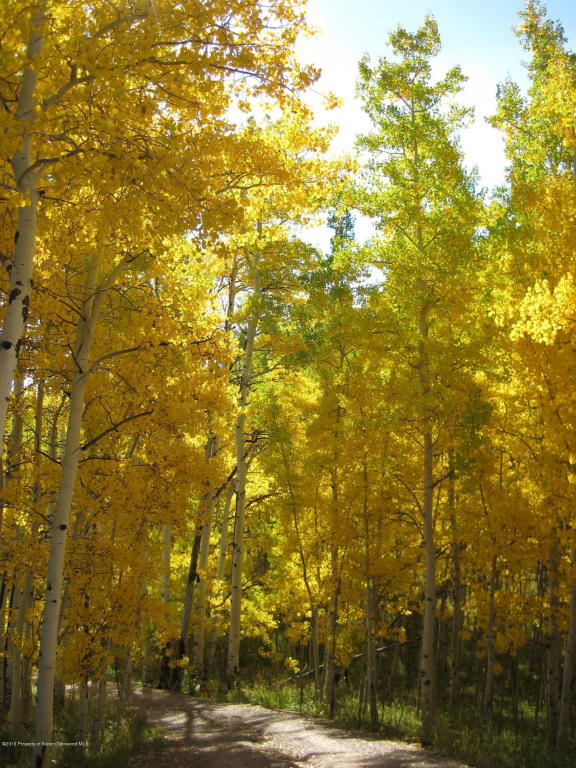 8201Capital Creek Road, Snowmass, CO 81654
