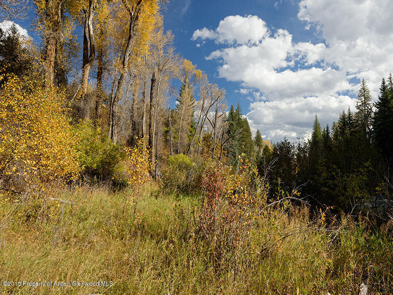 TbdRiver Ridge Road, Woody Creek, CO 81656