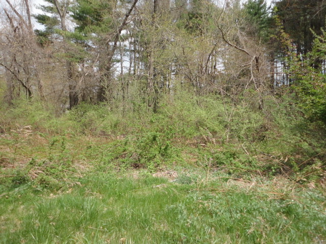 70 Juniper Dr, Avon, CT 06001