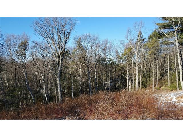 78Hollister Dr, Avon, CT 06001
