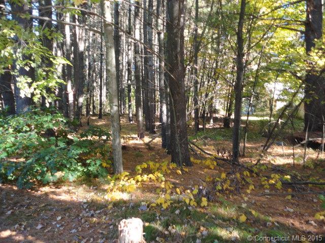 256 LOVELY STREET, Avon, CT 06001