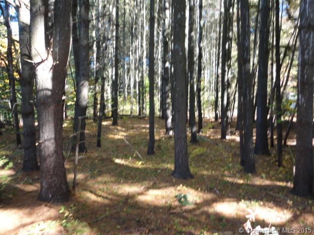 260 LOVELY STREET, Avon, CT 06001