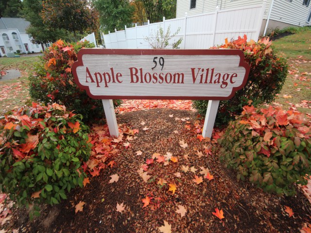 59 West Washington StBristol, CT, 06010Hartford County