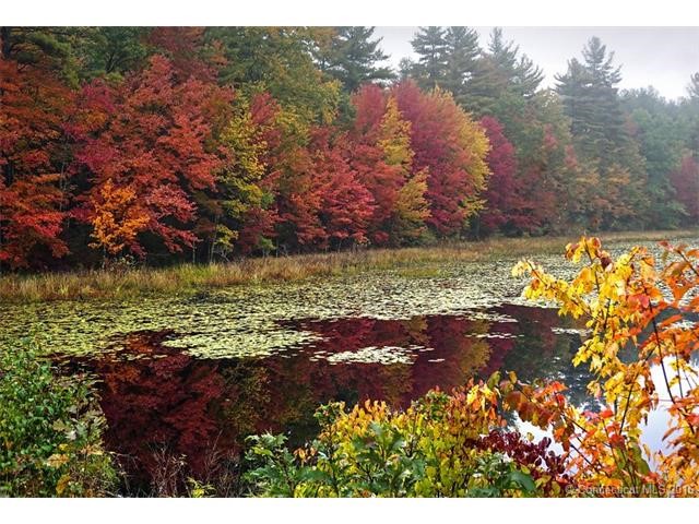 Lot # 9Holcomb St, E Granby, CT 06026