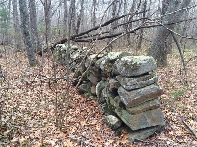 Lot # 9Holcomb St, E Granby, CT 06026