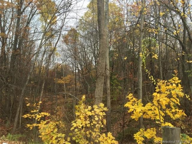 Lot # 9Holcomb St, E Granby, CT 06026