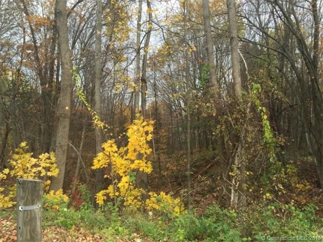 Lot # 9Holcomb St, E Granby, CT 06026