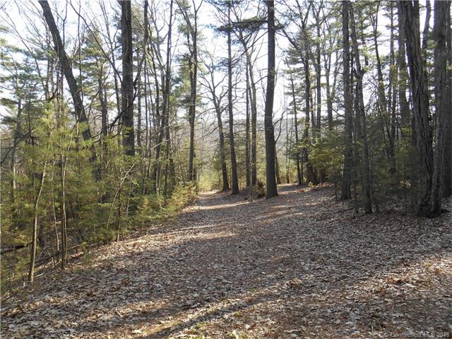 55 Peck Orchard Rd, Hartland, CT 06027