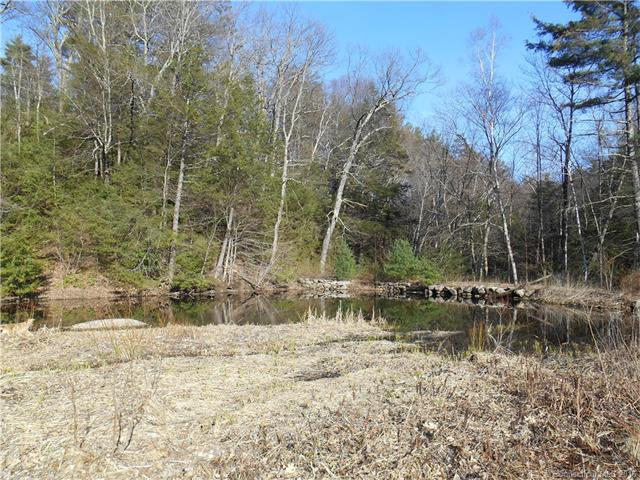 57 Peck Orchard Rd, Hartland, CT 06027