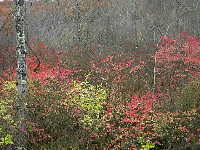 0 Barnes Rd, Canaan, CT 06031