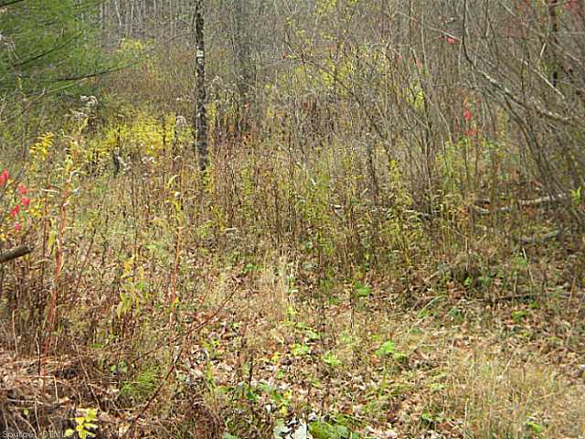 0 Barnes Rd, Canaan, CT 06031